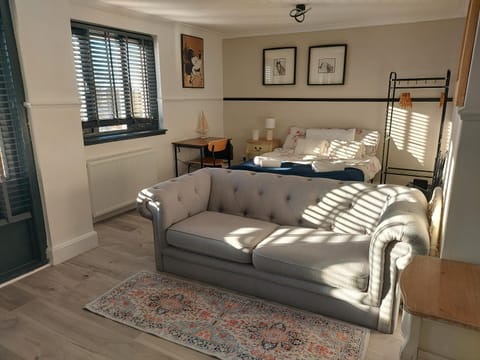 Bed, Living room, Photo of the whole room, Bedroom