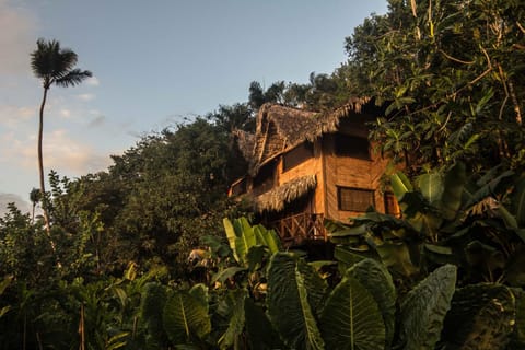 Property building, Natural landscape