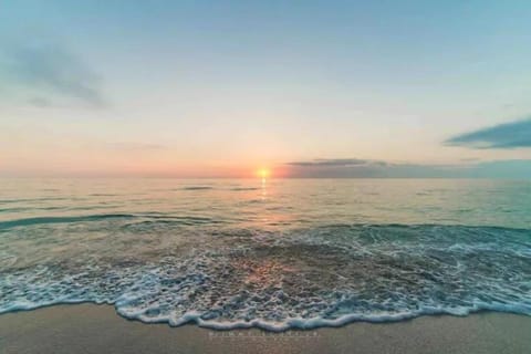 Stroll to Siesta Beach from Serene Condo + (bikes) Apartment hotel in Siesta Beach