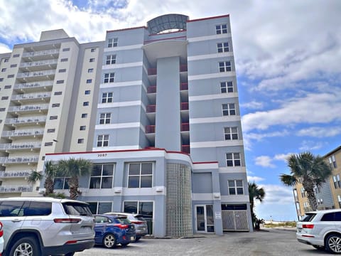 Property building, Day