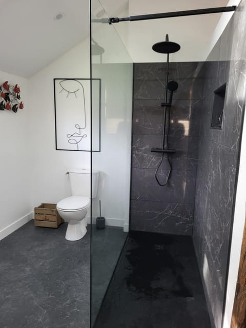 Shower, Toilet