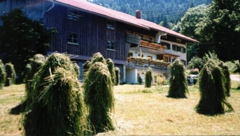 Property building, Natural landscape