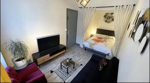 Communal lounge/ TV room, Bed, TV and multimedia, Living room, Photo of the whole room, Bedroom