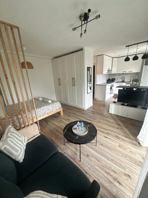 Bed, Kitchen or kitchenette, Living room, Photo of the whole room, Seating area, stove