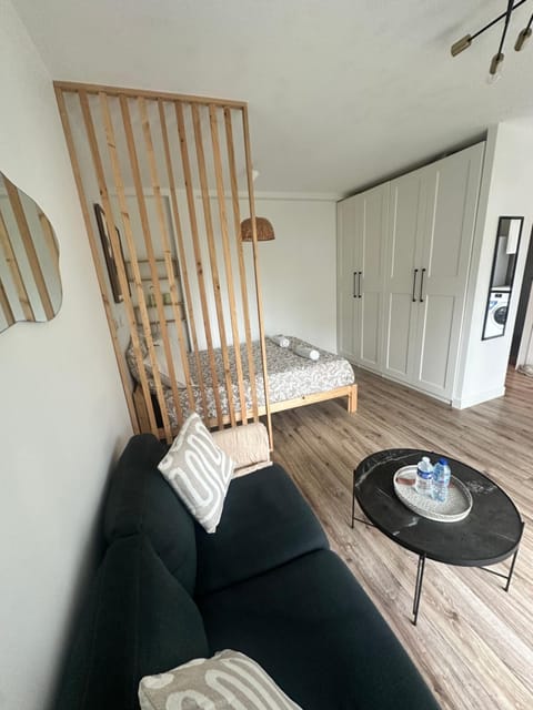 Bed, Living room, Photo of the whole room, Seating area, Bedroom, wardrobe