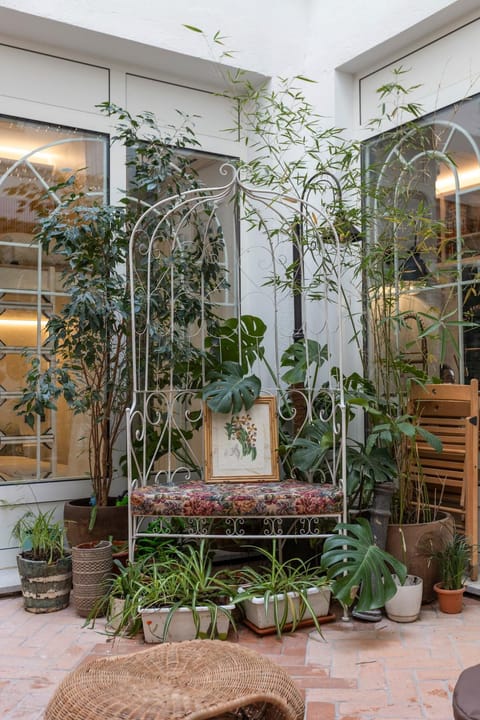 Garden, Garden, Balcony/Terrace