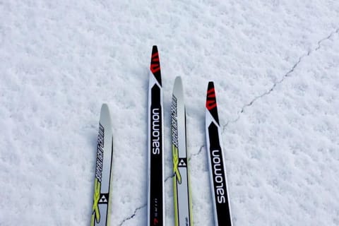 Bestemors hus ca 3mil utenfor Sortland Sent House in Nordland, Norway