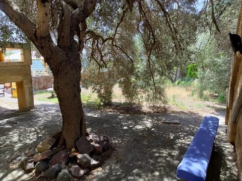 Casa vacanze Medau Rubiu Apartment in Sardinia