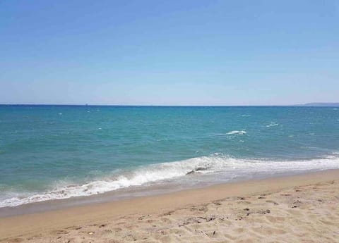 Day, Natural landscape, Beach