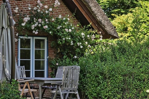 Haus-unter-Reet House in Nordfriesland