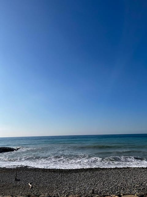 Natural landscape, Beach, Sea view
