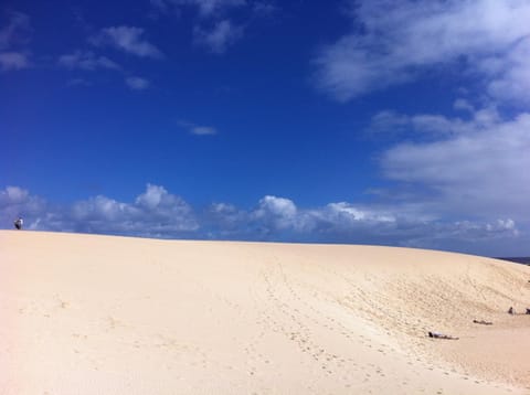 Natural landscape, Activities