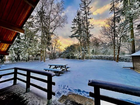 Winter, Garden, Garden view