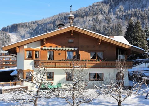 Property building, Winter