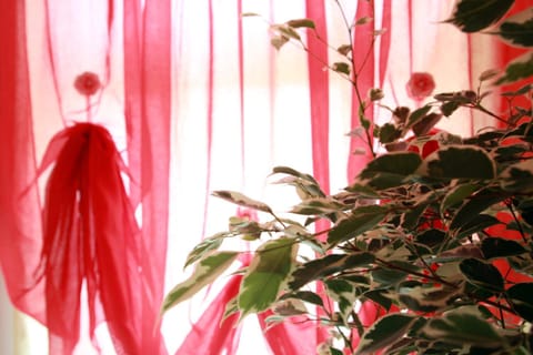 Other, Decorative detail