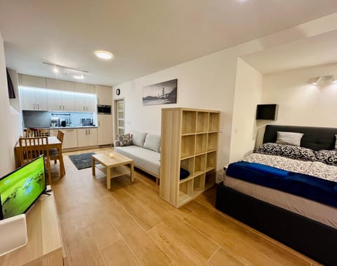 Bed, TV and multimedia, Living room, Photo of the whole room, Seating area, hair dresser