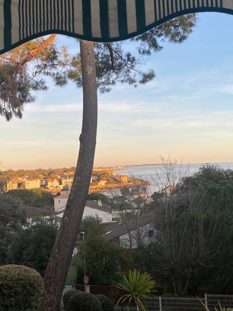 Sea view