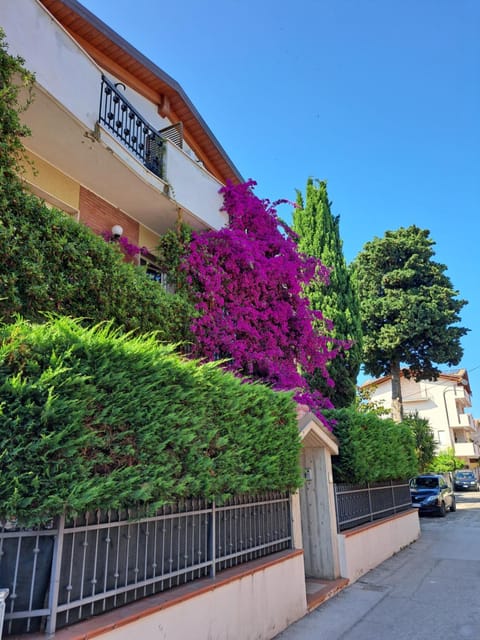 Property building, Street view