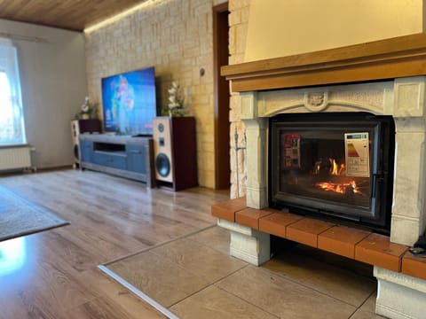 TV and multimedia, Living room, Garden view, fireplace