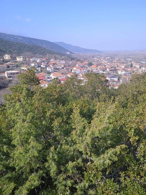 Bella Gaia Apartment in Decentralized Administration of Macedonia and Thrace