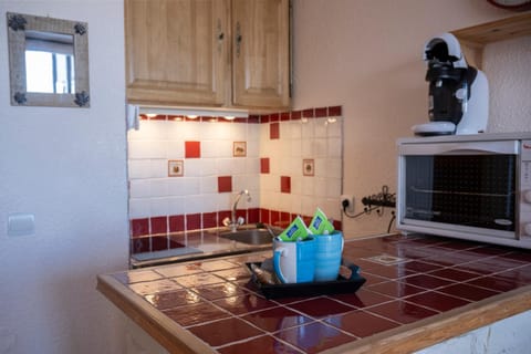 Kitchen or kitchenette, minibar, pet friendly, stove