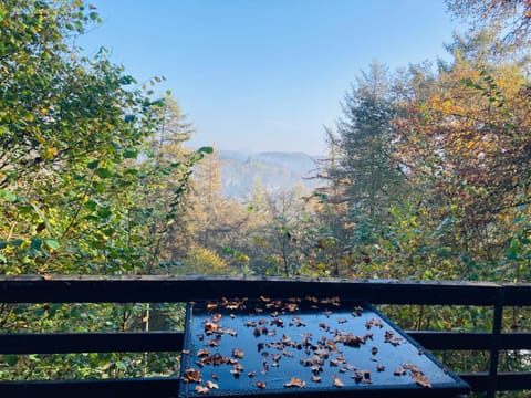 Woody Lodge - Duplex Nature Bonsoy Ardennes Chalet in Wallonia, Belgium
