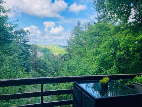 Woody Lodge - Duplex Nature Bonsoy Ardennes Chalet in Wallonia, Belgium