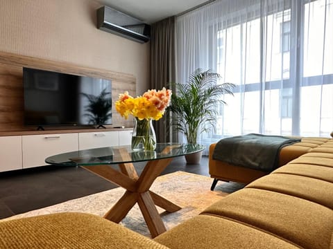 TV and multimedia, Living room, Seating area, air conditioner