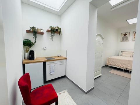 Sonnenblume Residenz Apartment in Heidelberg