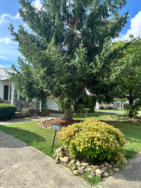 Property building, Spring, Day, Natural landscape, Garden view