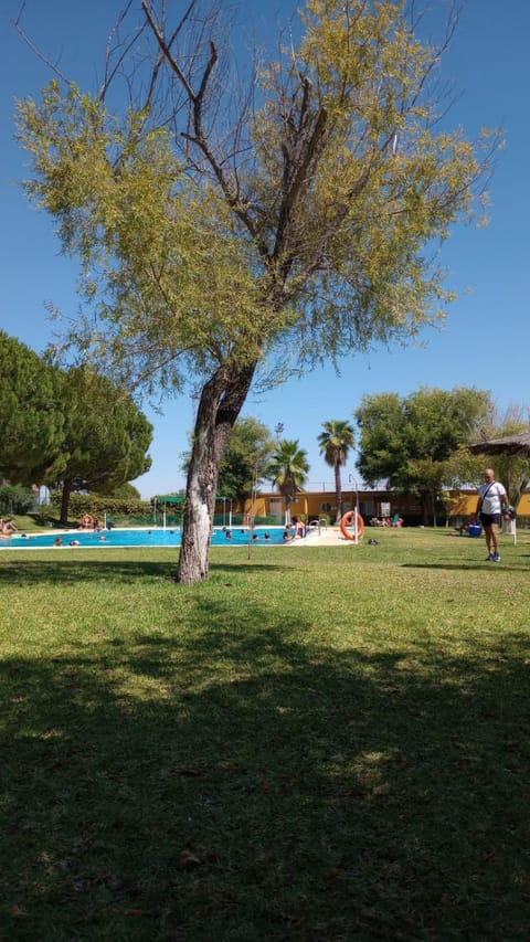 Summer, Swimming pool, Entertainment
