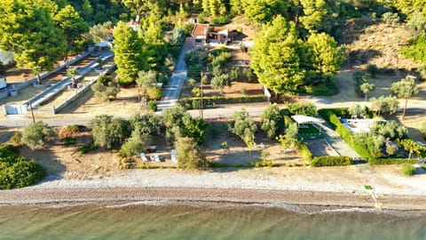 Bird's eye view, Beach