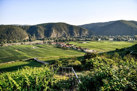 Natural landscape
