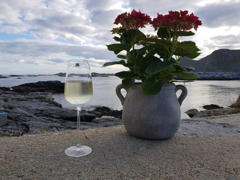 Lofoten Værøy Fyr Apartment in Lofoten