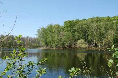 Natural landscape