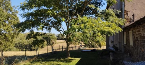 Natural landscape, Garden, Garden view, sunbed