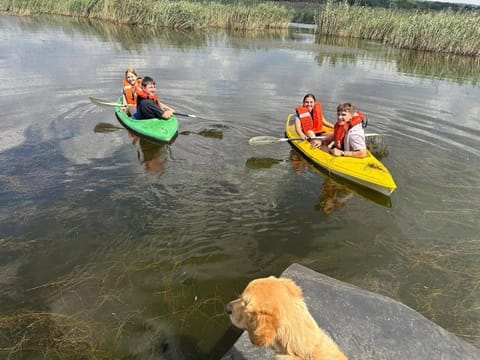 Activities, Canoeing, pet friendly