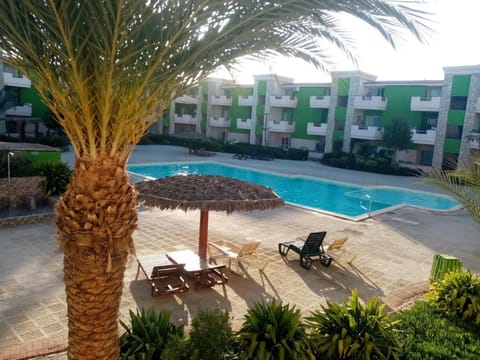 Garden, Pool view, sunbed
