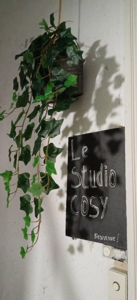 Charmant Studio Cosy Apartment in Dijon