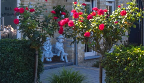 Facade/entrance, Bird's eye view