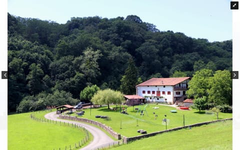 Property building, Garden view