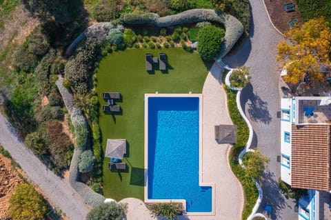 Natural landscape, Bird's eye view, Pool view, Swimming pool, sunbed