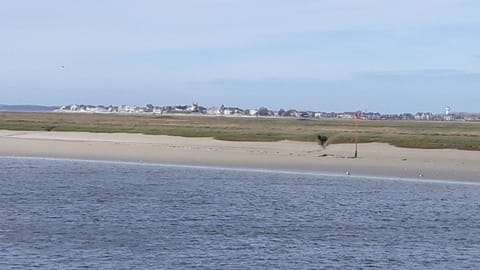 Baie de somme Apartment in Quend