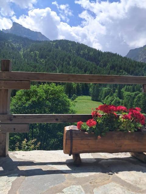 L'Estèla Apartment in Piedmont