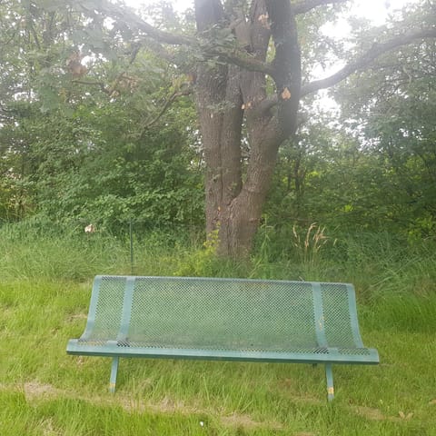 Natural landscape, Garden, Garden view