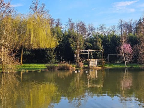 Spring