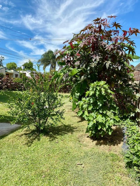 Natural landscape, Garden, Garden view