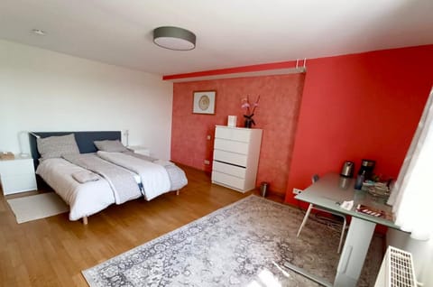 Cosy Room in Remich Vacation rental in Trier-Saarburg