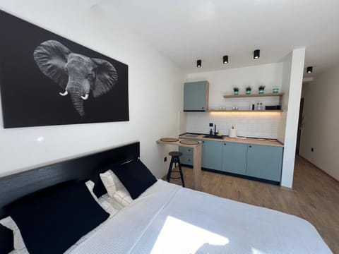 Perfect cube Apartment in Novi Sad