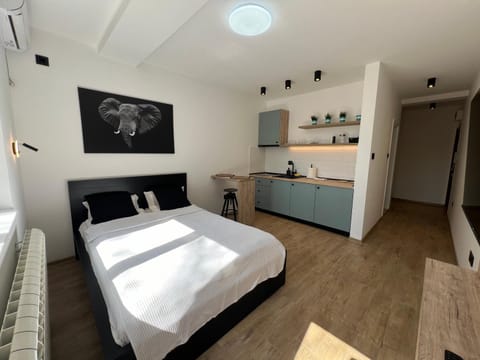 Perfect cube Apartment in Novi Sad